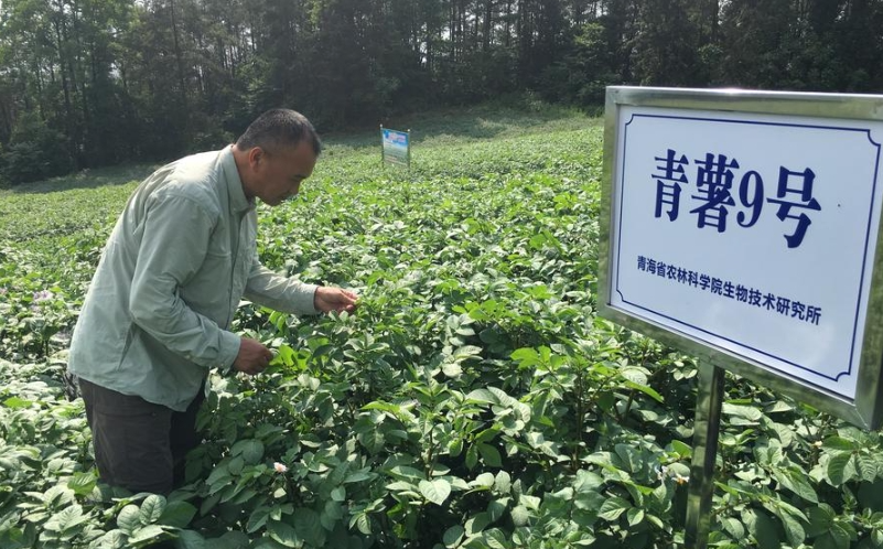 【中国那些事儿】“跨越山海到餐桌” 中秘农业合作与繁荣之路越